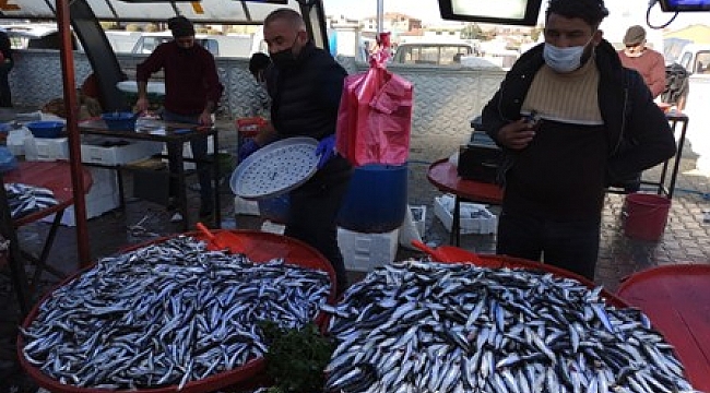 Fiyatı düşen hamsi vatandaşın yüzünü güldürdü