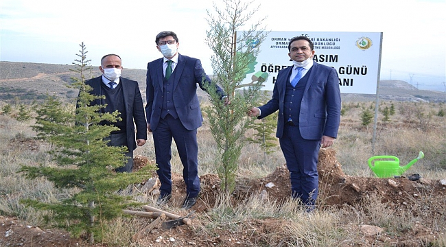 Hatıra Ormanına ağaç dikildi