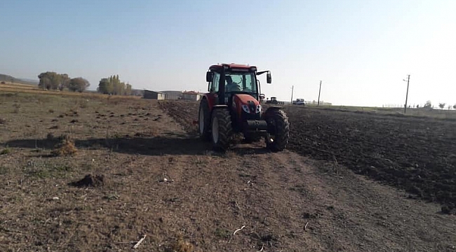 İhsaniye Belediyesi lavanta ekecek