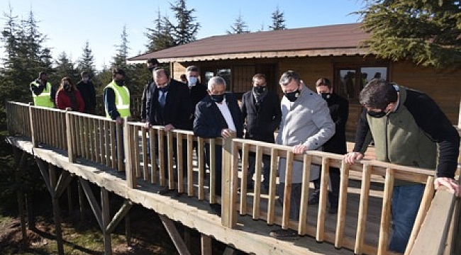 “Ormanlarımıza sahip çıkacağız”