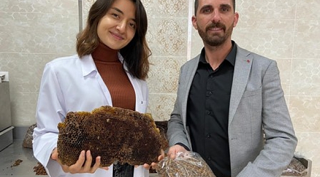 Taşoluk’ta vitamin deposu 'arı ekmeği' üretimi başladı
