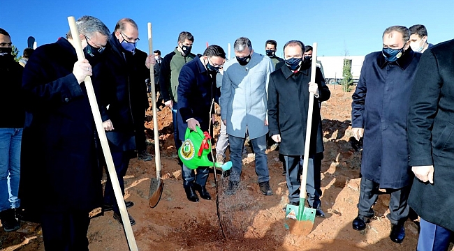 Tıbbi ve Aromatik Bitkiler Ormanına fidan dikildi