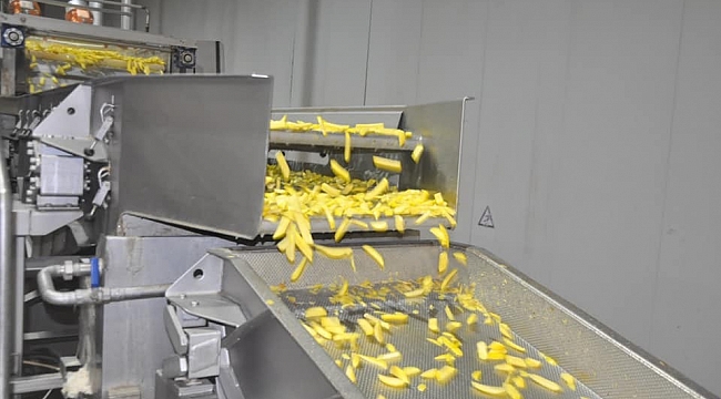 Yılda 25 bin ton patates işliyorlar