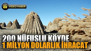 200 nüfuslu köy 5 ayda 1 milyon dolarlık ihracat yapıyor 
