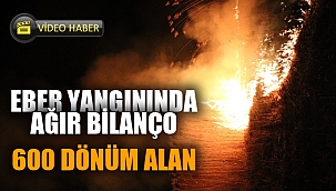 600 DÖNÜM ALAN YANDI