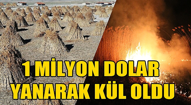Afyon’da 1 milyon dolar yanarak kül oldu