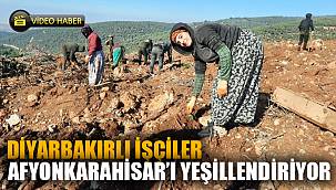 Afyonkarahisar'ın dağları Diyarbakırlı işçilerin emekleri ile yeşillenecek 