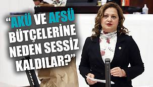 “AKÜ VE AFSÜ BÜTÇELERİNE NEDEN SESSİZ KALDILAR?”