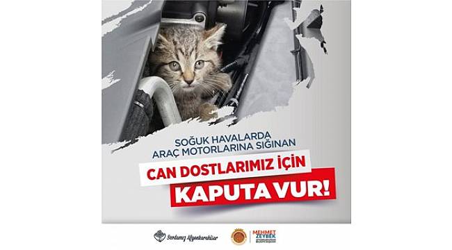 Başkan Zeybek araç sürücülerini uyardı