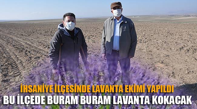 Bu ilçede buram buram lavanta kokacak