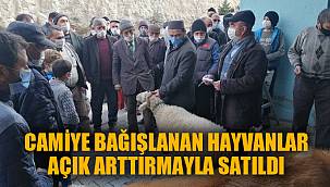 CAMİYE BAĞIŞLANAN HAYVANLAR AÇIK ARTTIRMAYLA SATILDI