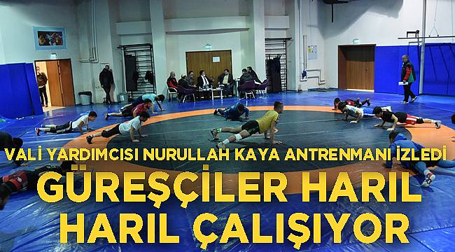Güreşçiler harıl harıl çalışıyor