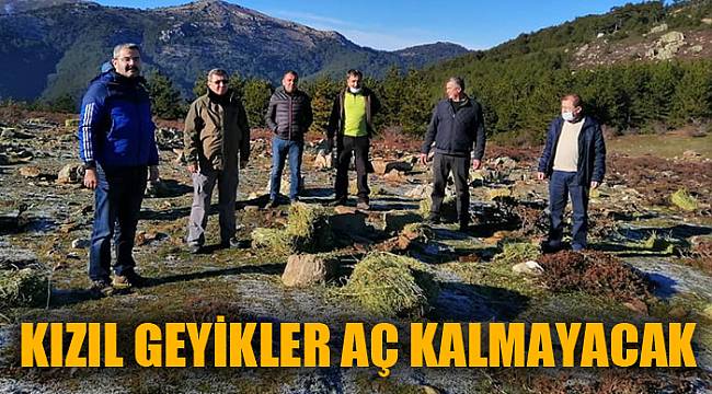KIZIL GEYİKLER AÇ KALMAYACAK