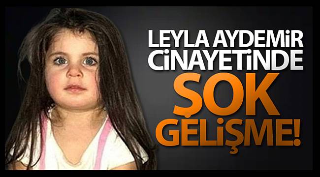 Leyla Aydemir cinayetinde şok gelişme!