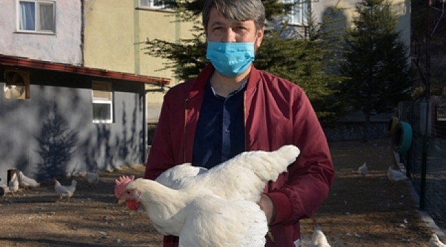 Okul bahçesindeki kümeste üretilen yumurtalar, öğrencilere burs oldu