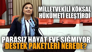 PARASIZ HAYAT EVE SIĞMIYOR