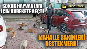 Sokak hayvanları için harekete geçti, mahalle sakinleri onu yalnız bırakmadı 