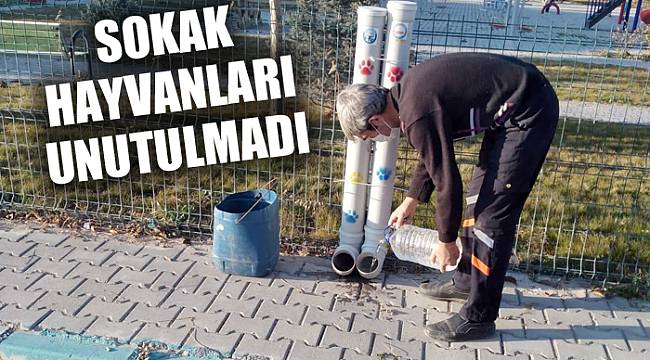 SOKAK HAYVANLARI UNUTULMADI