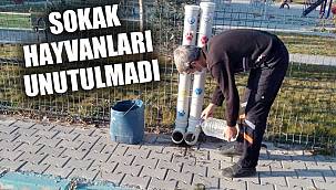 SOKAK HAYVANLARI UNUTULMADI