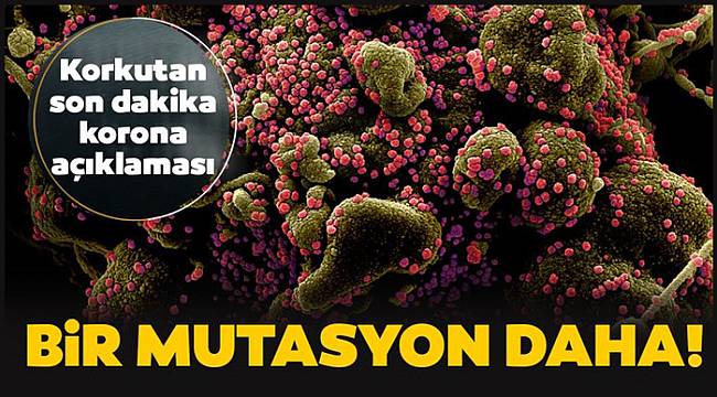 Son dakika korona mutasyonu açıklaması! İkinci bir varyantı tespit edildi