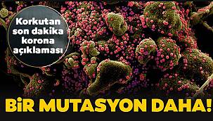 Son dakika korona mutasyonu açıklaması! İkinci bir varyantı tespit edildi