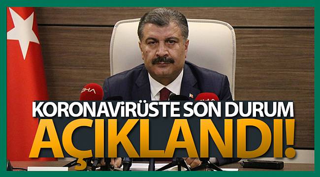 Türkiye'de son 24 saatte 19.256 koronavirüs vakası tespit edildi