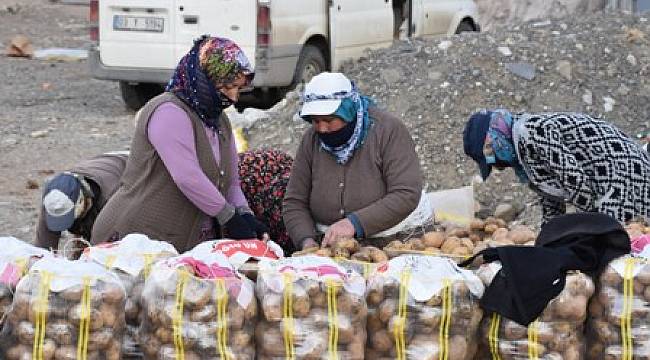 Türkiye’nin patates deposu Sandıklı