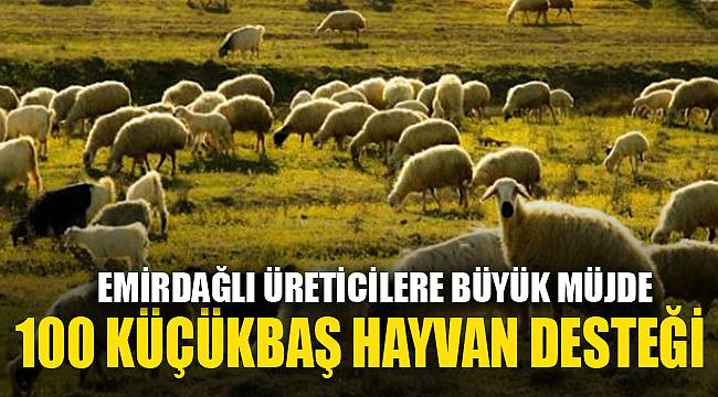 ÜRETİCİLERE 100 KÜÇÜKBAŞ HAYVAN DESTEĞİ