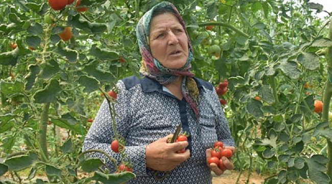 Yaşlı çift’in azmi örnek oldu