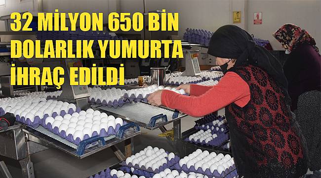 32 milyon 650 bin dolarlık yumurta ihraç edildi