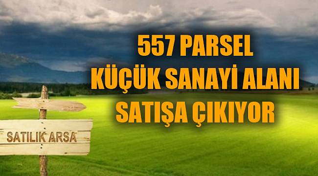 557 PARSEL KÜÇÜK SANAYİ ALANI SATIŞA ÇIKIYOR