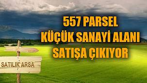 557 PARSEL KÜÇÜK SANAYİ ALANI SATIŞA ÇIKIYOR