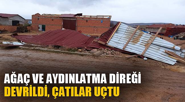 AĞAÇ VE AYDINLATMA DİREĞİ DEVRİLDİ, ÇATILAR UÇTU