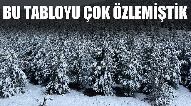 BU TABLOYU ÇOK ÖZLEMİŞTİK