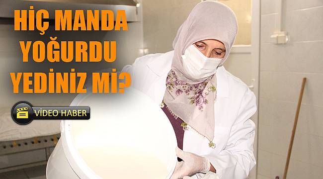 BU YOĞURDU HİÇ YEDİNİZ Mİ?