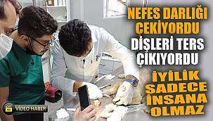 İyilik sadece insana yapılmaz 