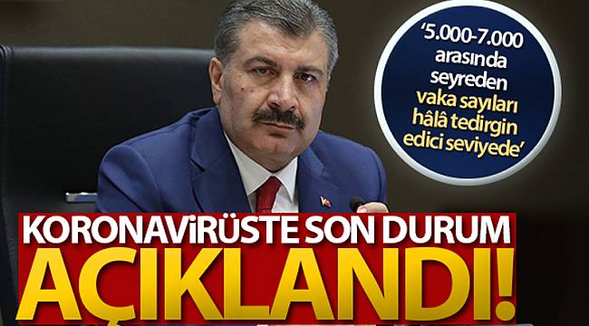 KOCA: VAKA SAYILARI TEDİRGİN EDİCİ SEVİYEDE