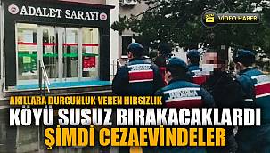 Köyün su şebekesi kablolarını çalan hırsızlar güvenlik kameralarına yakalandı 