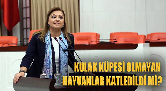 KULAK KÜPESİ OLMAYAN HAYVANLAR KATLEDİLDİ Mİ?