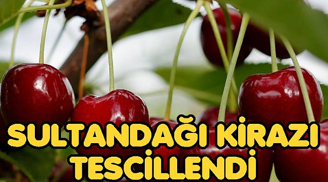 SULTANDAĞI KİRAZI COĞRAFİ İŞARET TESCİL BELGESİ ALDI