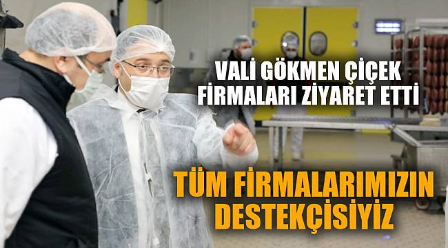 VALİ GÖKMEN ÇİÇEK ZİYARET TURUNA ÇIKTI