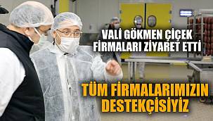 VALİ GÖKMEN ÇİÇEK ZİYARET TURUNA ÇIKTI