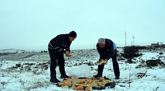 Yaban hayvanlarını aç bırakmadılar