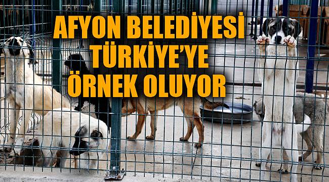 AFYON BELEDİYESİ TÜRKİYE’YE ÖRNEK OLUYOR