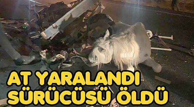AFYON'DA OTOMOBİL ÇARPTIĞI AT ARABASI SÜRÜCÜ YAŞAMINI YİTİRDİ