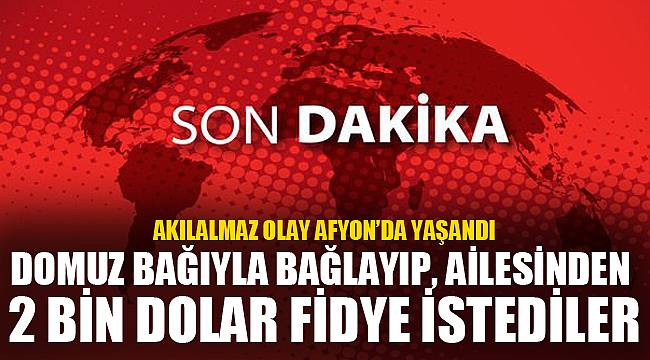 DOMUZ BAĞIYLA BAĞLAYIP, AİLESİNDEN 2 BİN DOLAR FİDYE İSTEDİLER