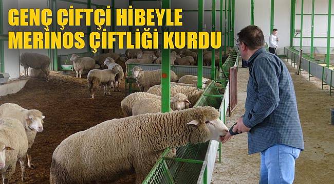 GENÇ ÇİFTÇİ HİBEYLE MERİNOS ÇİFTLİĞİ KURDU