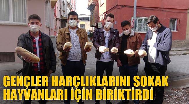 GENÇLER HARÇLIKLARINI SOKAK HAYVANLARI İÇİN BİRİKTİRDİ