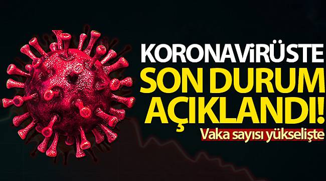 KORONA VAKALARINDA SON DURUM