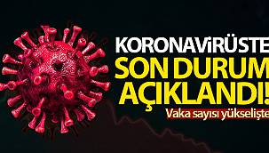 KORONA VAKALARINDA SON DURUM
